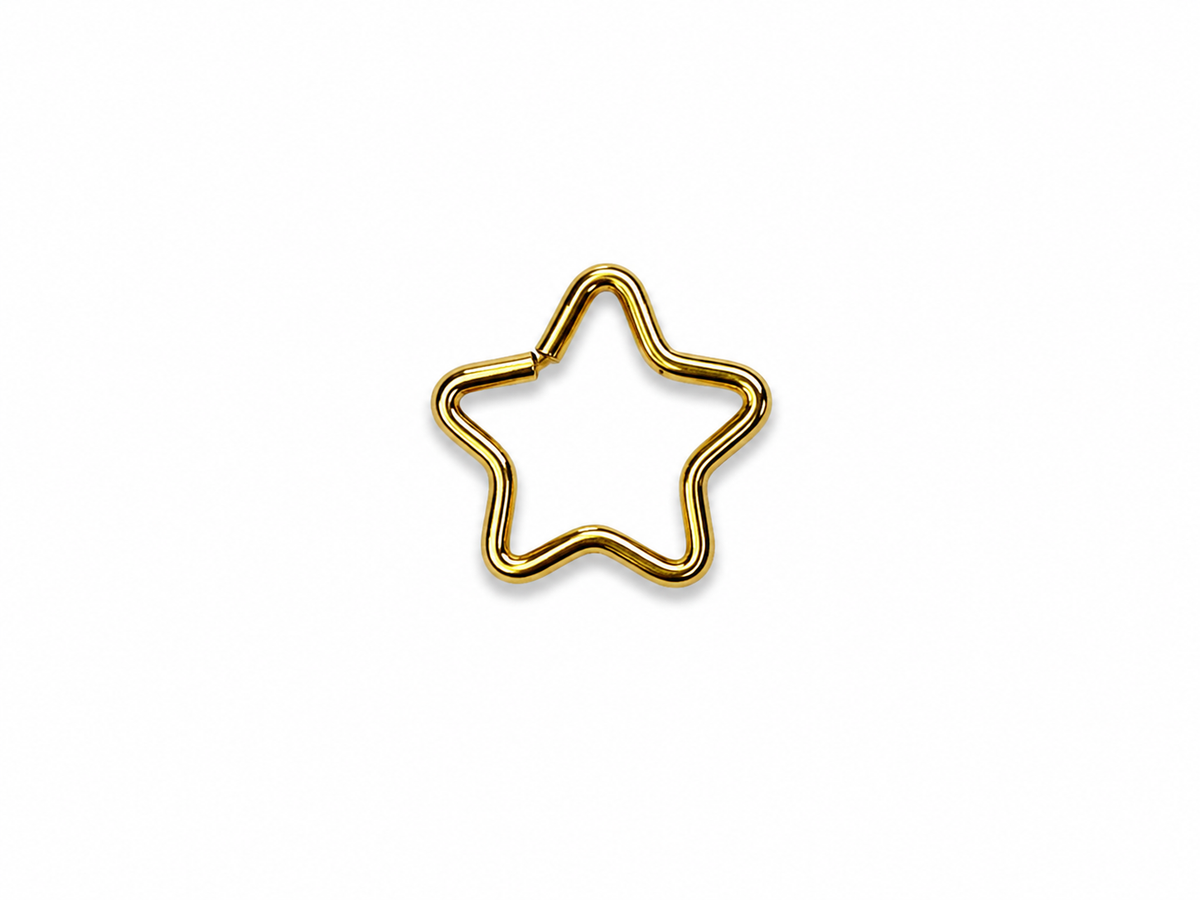 14g Surgical Steel (Gold Plated) Star Hoop